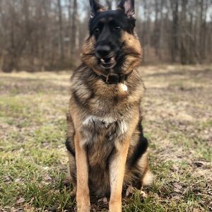 Meet your Posher, Lu